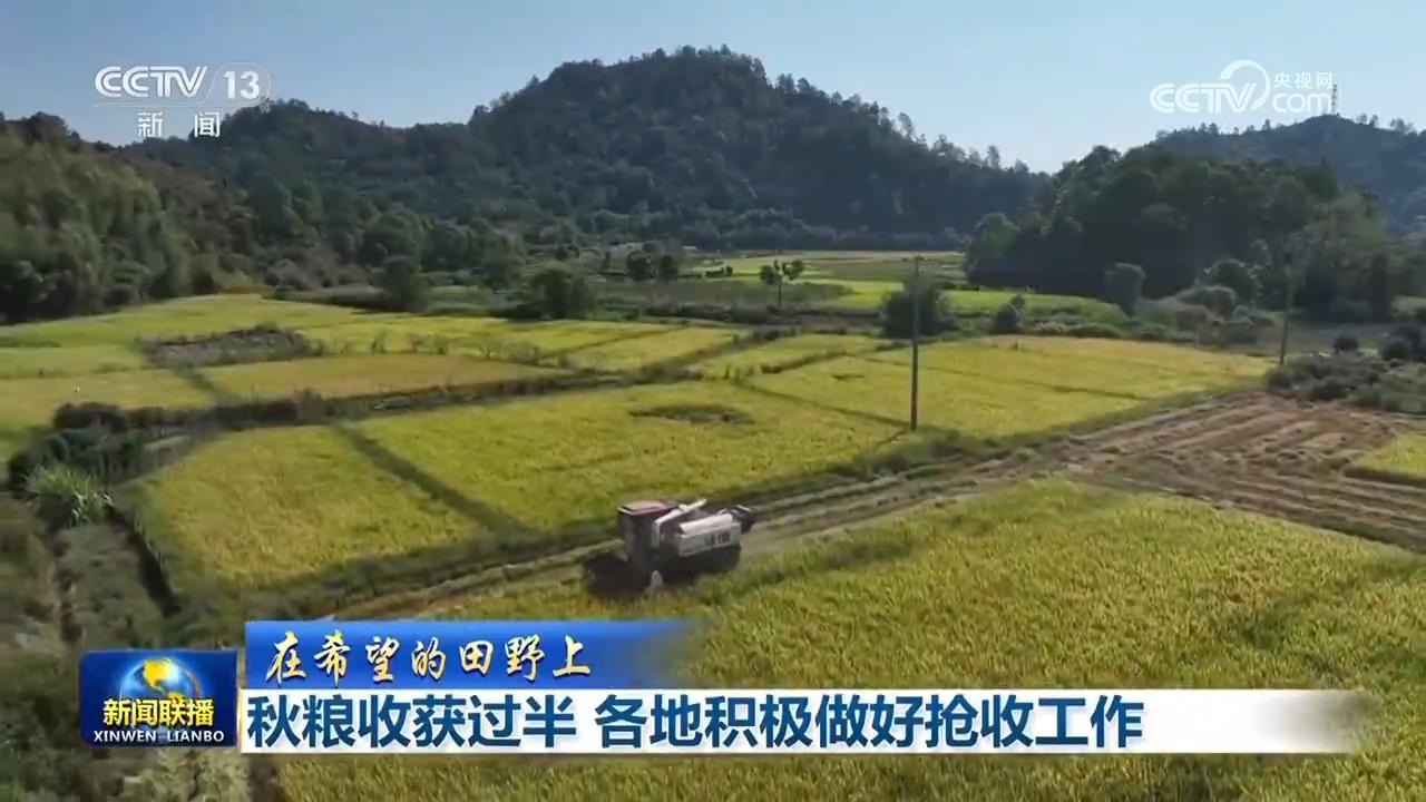 
上海第九人民医院黄牛代挂号电话票贩子号贩子网上预约挂号,住院检查加快,【在希望的田野上】秋粮收获过半 各地积极做好抢收工作