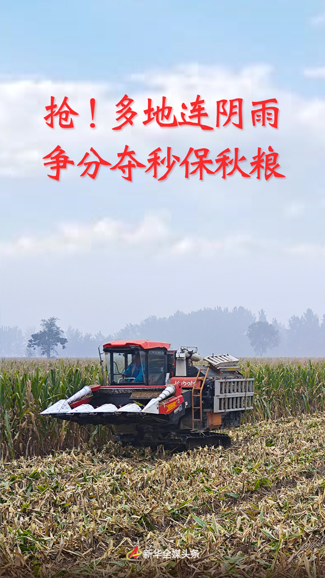 
北京大学第六医院黄牛代挂号电话票贩子号贩子网上预约挂号,住院检查加快,抢！多地连阴雨 争分夺秒保秋粮