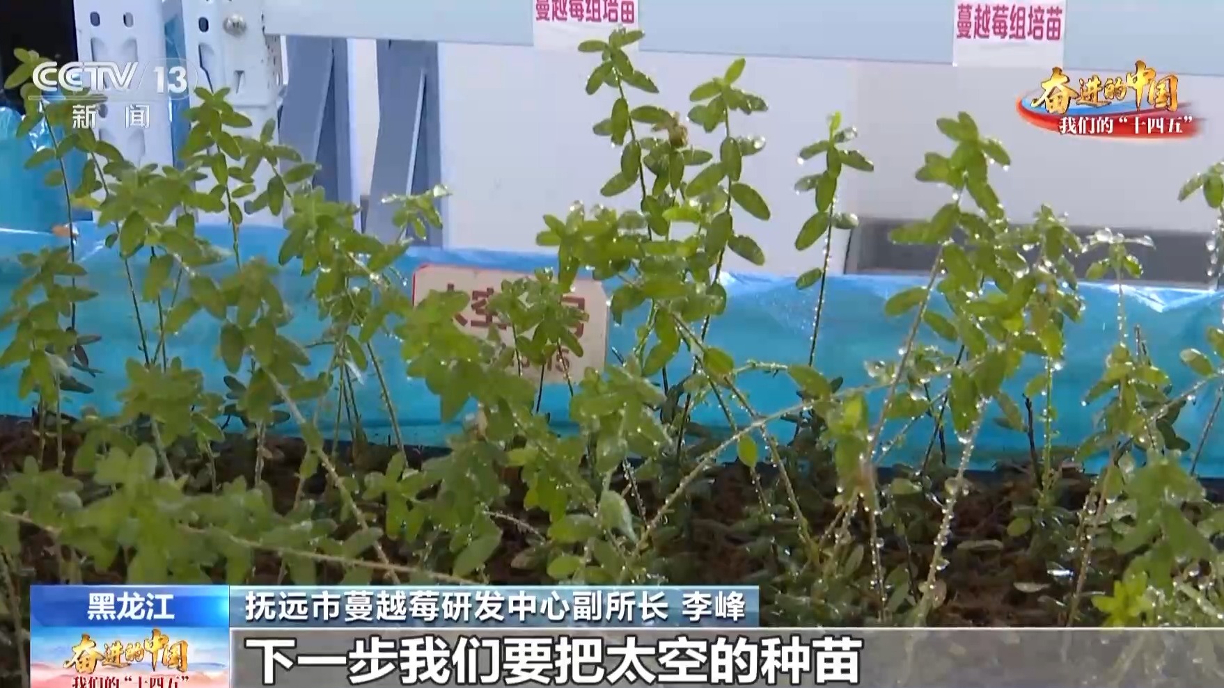 
浙江中医药第二医院黄牛代挂号电话票贩子号贩子网上预约挂号,住院检查加快,太空育种、机械采收……科技创新让“隐藏款”特产走向全国