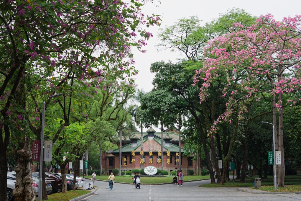 
北大第一医院黄牛代挂号电话票贩子号贩子网上预约挂号,住院检查加快,校馆弦歌｜怀士堂：中山大学中轴线上的人文地标