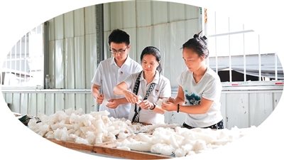
天津各大医院黄牛代挂号电话票贩子号贩子网上预约挂号,住院检查加快,种植竹荪（侨乡新貌）
