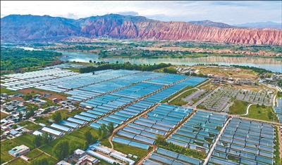 
天津眼科医院黄牛代挂号电话票贩子号贩子网上预约挂号,住院检查加快,“搞成了半拉子工程”，困局怎样扭转（干部状态新观察·走进一线探作风）