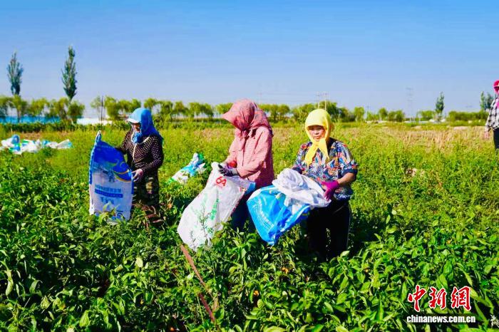
中国医学科学院肿瘤医院黄牛代挂号电话票贩子号贩子网上预约挂号,住院检查加快,黄河“几字弯”丰收图鉴：从“一季旺”到“四季兴”