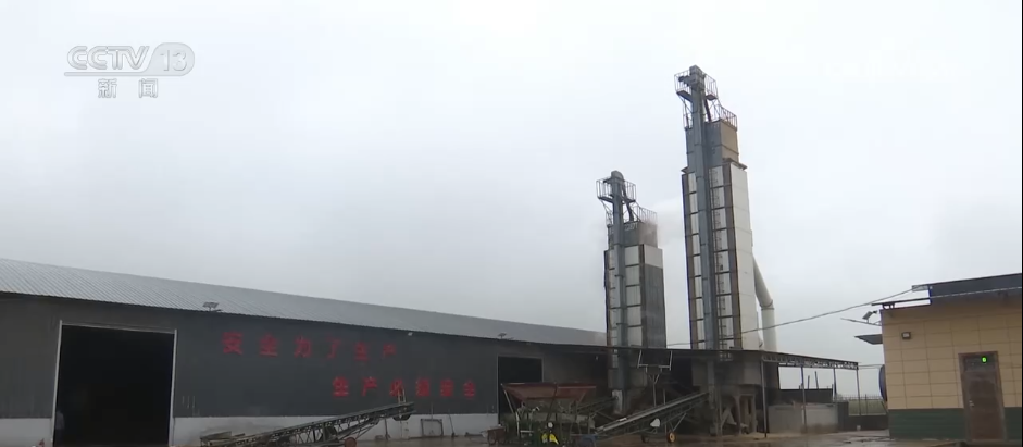 
上海第九人民医院黄牛代挂号电话票贩子号贩子网上预约挂号,住院检查加快,“干”字当头！各地多举措保“三秋”生产 全力守护群众“粮袋子”