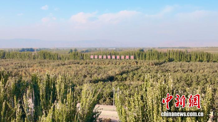 
代挂姜玉武的号黄牛代挂号电话票贩子号贩子网上预约挂号,住院检查加快,三代坚守，柯柯牙如何让荒漠变“金山”？