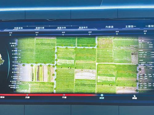 
杭州中医院黄牛代挂号电话票贩子号贩子网上预约挂号,住院检查加快,冀云深度丨中国饭碗，穰穰满家