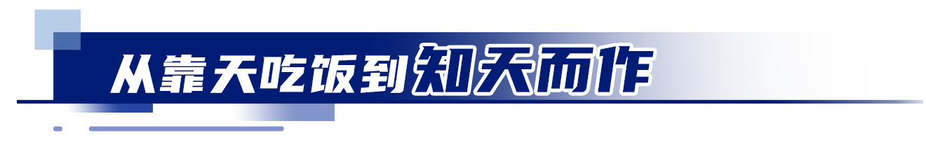 
杭州中医院黄牛代挂号电话票贩子号贩子网上预约挂号,住院检查加快,冀云深度丨中国饭碗，穰穰满家