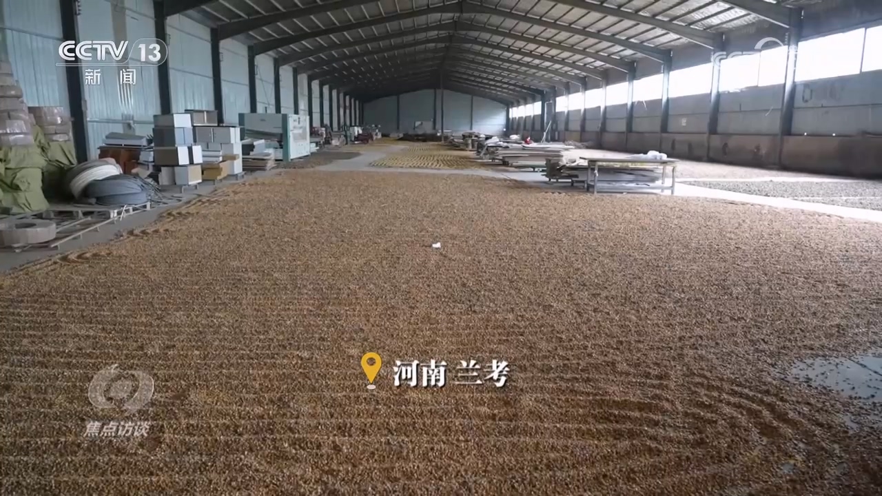 
上海眼耳鼻喉科医院黄牛代挂号电话票贩子号贩子网上预约挂号,住院检查加快,焦点访谈｜秋粮抢收抢烘 这场“保卫战”如何打好？