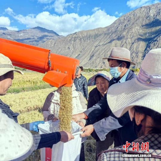 
中山二院黄牛代挂号电话票贩子号贩子网上预约挂号,住院检查加快,雪域高原飘稻香：西藏加查县迎来水稻丰收