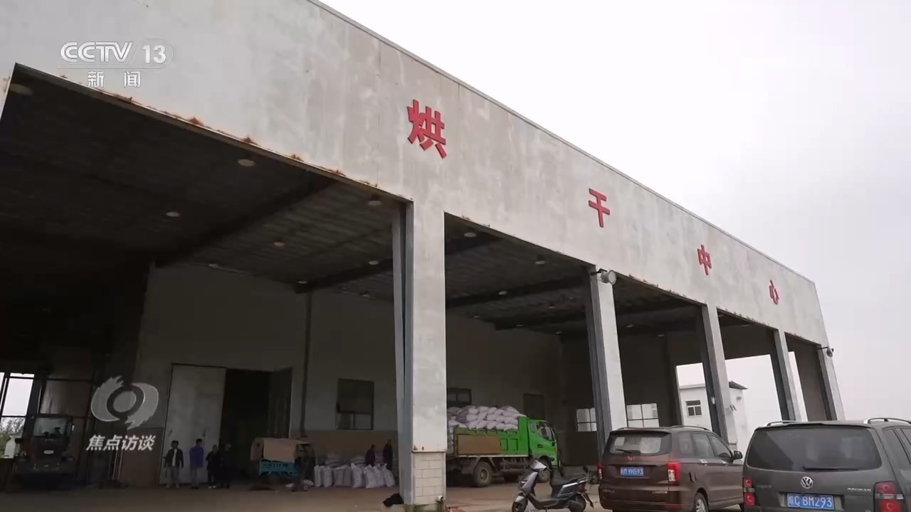 
上海眼耳鼻喉科医院黄牛代挂号电话票贩子号贩子网上预约挂号,住院检查加快,焦点访谈｜秋粮抢收抢烘 这场“保卫战”如何打好？