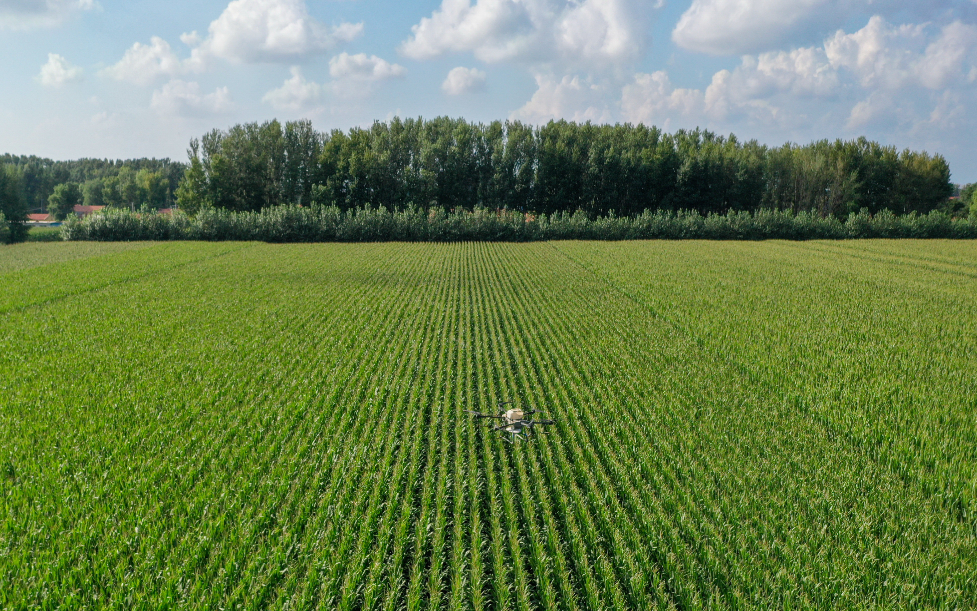 浙江第二医院黄牛代挂号电话票贩子号贩子网上预约挂号,住院检查加快,理响中国|1.4万亿斤的跨越