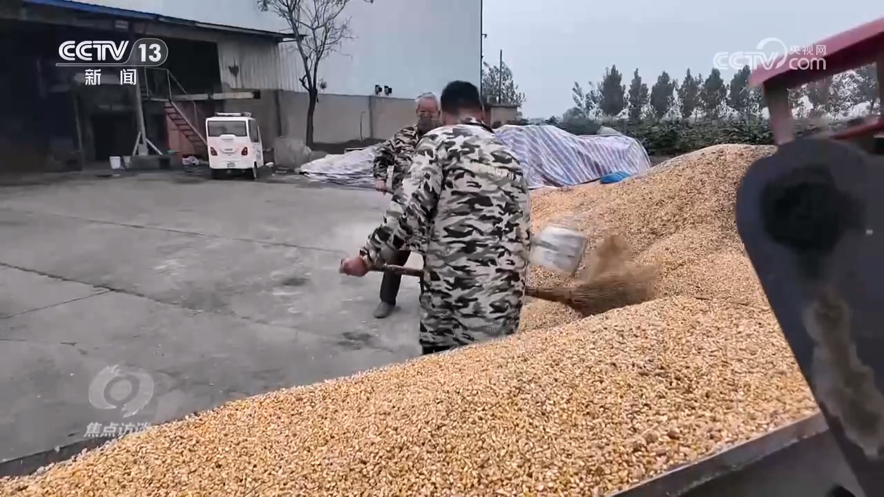 
上海眼耳鼻喉科医院黄牛代挂号电话票贩子号贩子网上预约挂号,住院检查加快,焦点访谈｜秋粮抢收抢烘 这场“保卫战”如何打好？