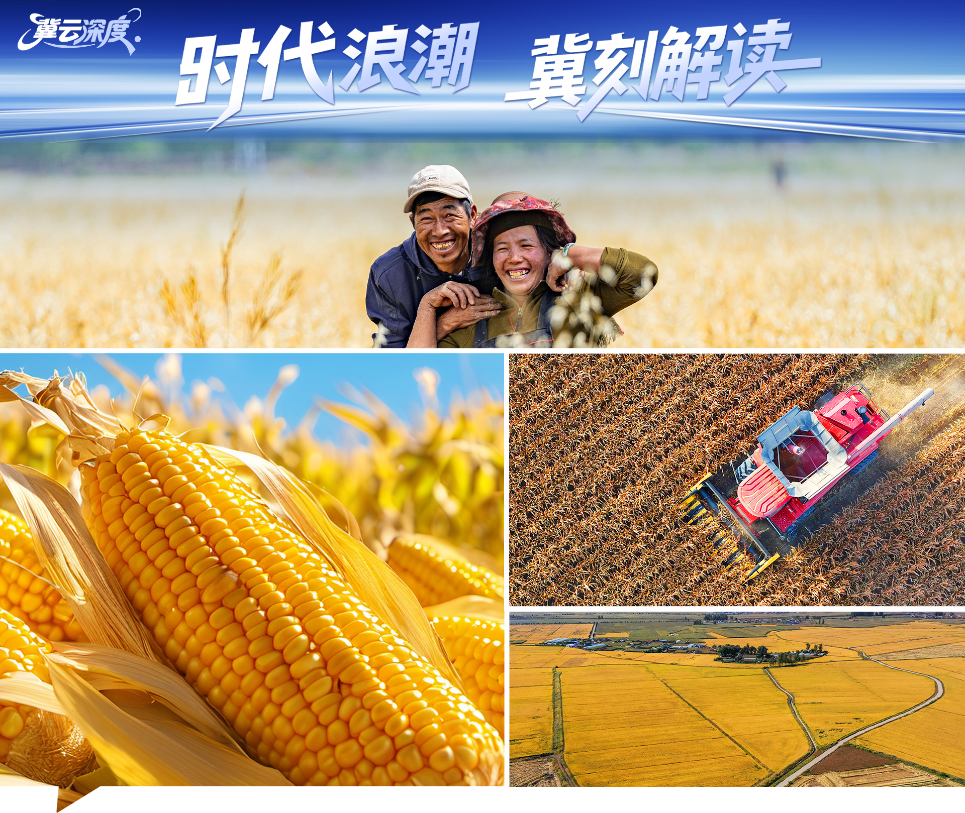 
杭州中医院黄牛代挂号电话票贩子号贩子网上预约挂号,住院检查加快,冀云深度丨中国饭碗，穰穰满家