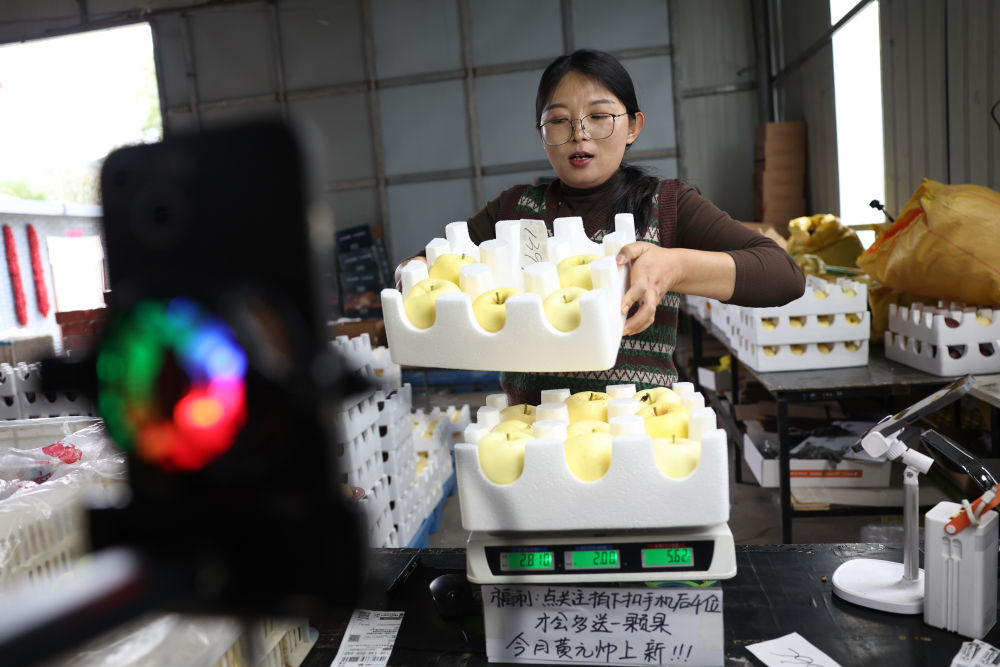 
上海肺科医院黄牛代挂号电话票贩子号贩子网上预约挂号,住院检查加快,“十四五”身边事｜农村电商，物流“链”动致富路