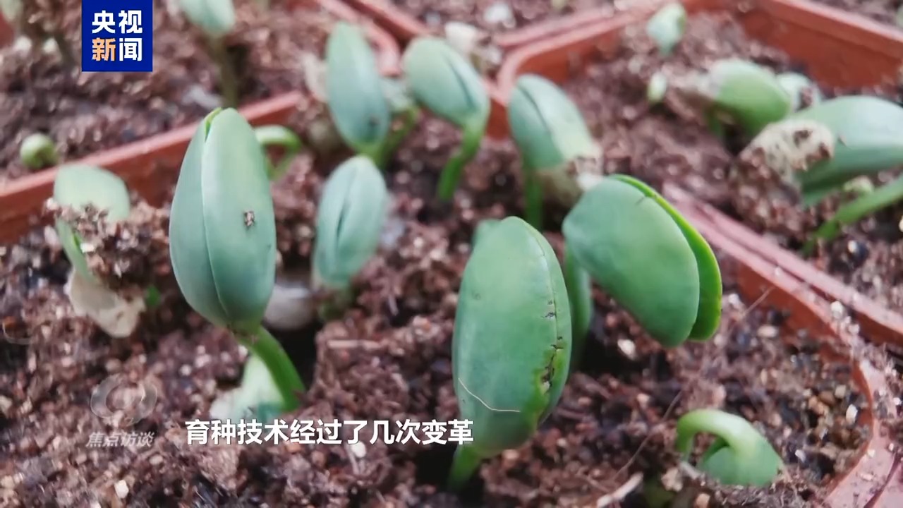 
杭州市三医院黄牛代挂号电话票贩子号贩子网上预约挂号,住院检查加快,焦点访谈丨筑牢大国粮仓 中国人的饭碗端得更牢更稳