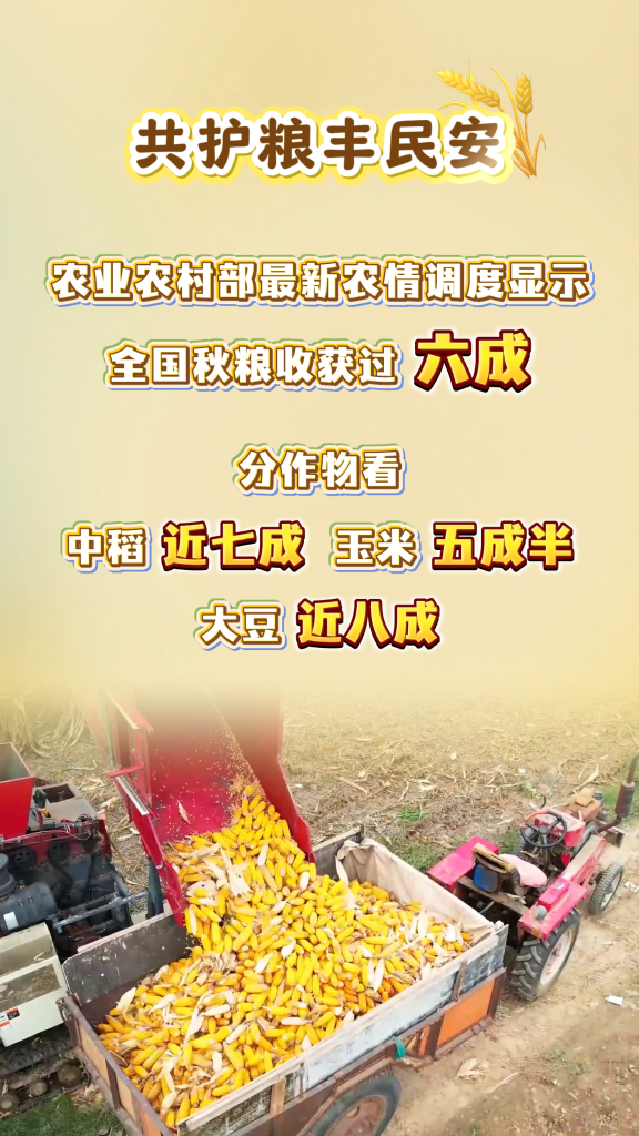 
南京眼科医院黄牛代挂号电话票贩子号贩子网上预约挂号,住院检查加快,粒粒皆辛苦！这组数字，让你吃得更踏实