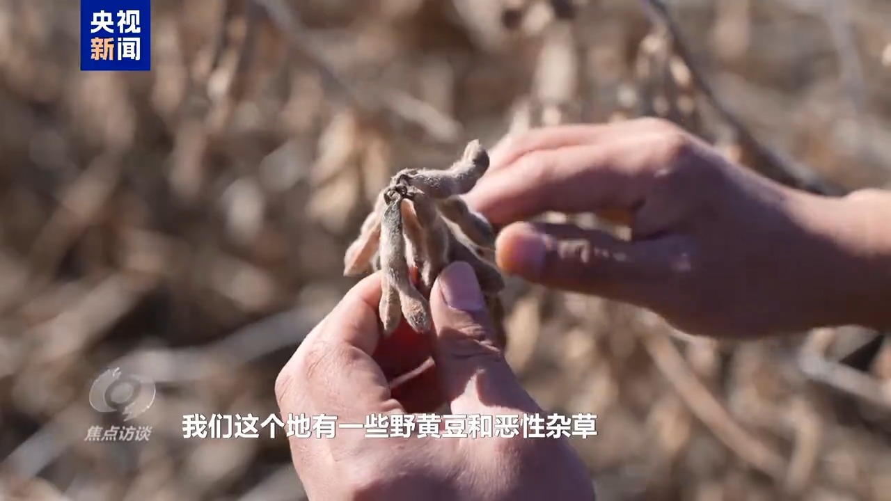 
杭州市三医院黄牛代挂号电话票贩子号贩子网上预约挂号,住院检查加快,焦点访谈丨筑牢大国粮仓 中国人的饭碗端得更牢更稳
