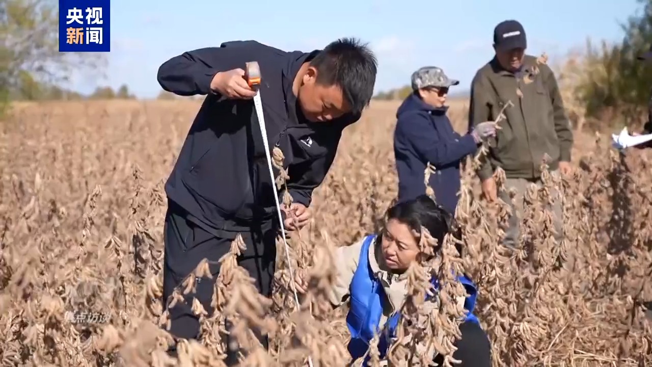 
杭州市三医院黄牛代挂号电话票贩子号贩子网上预约挂号,住院检查加快,焦点访谈丨筑牢大国粮仓 中国人的饭碗端得更牢更稳