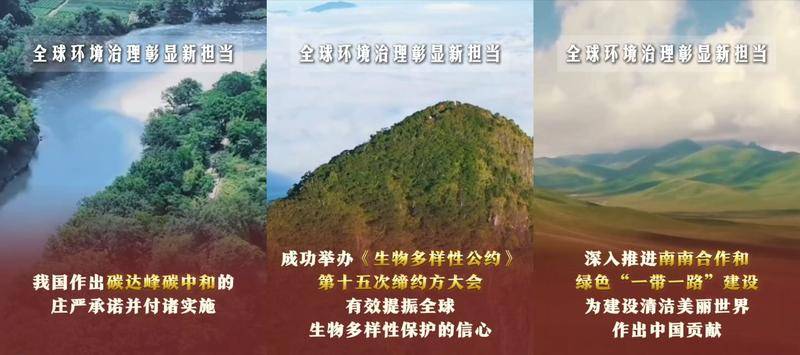 
中国人民解放军总医院黄牛代挂号电话票贩子号贩子网上预约挂号,住院检查加快,六个“新”字看成绩｜生态文明建设实现新进步