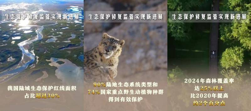 
中国人民解放军总医院黄牛代挂号电话票贩子号贩子网上预约挂号,住院检查加快,六个“新”字看成绩｜生态文明建设实现新进步