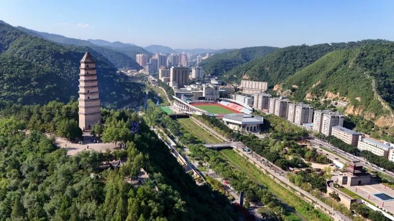 
南京脑科医院黄牛代挂号电话票贩子号贩子网上预约挂号,住院检查加快,这里是延安！