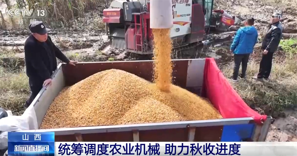 
广州中医药大学一附医院黄牛代挂号电话票贩子号贩子网上预约挂号,住院检查加快,多地“攥指成拳”打响秋收“攻坚战” 排涝、抢收、抢烘有序开展