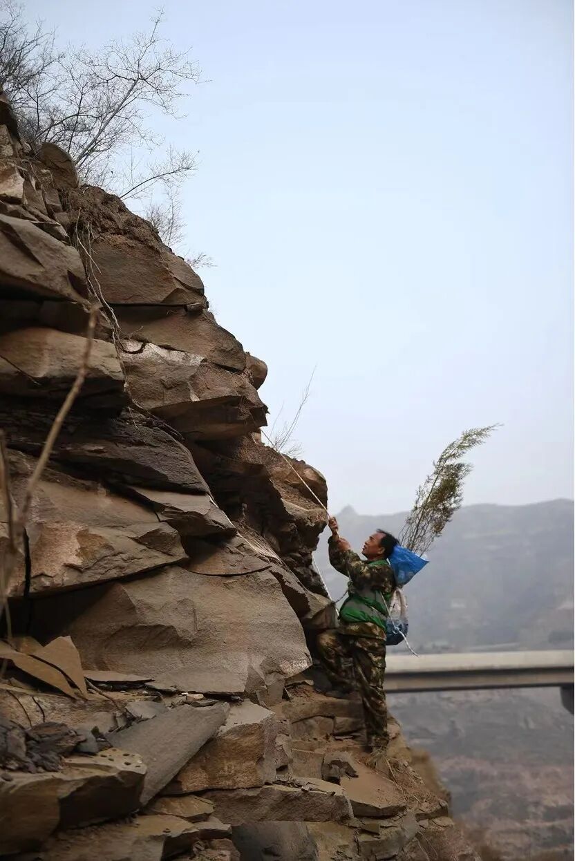 
南京脑科医院黄牛代挂号电话票贩子号贩子网上预约挂号,住院检查加快,这里是延安！