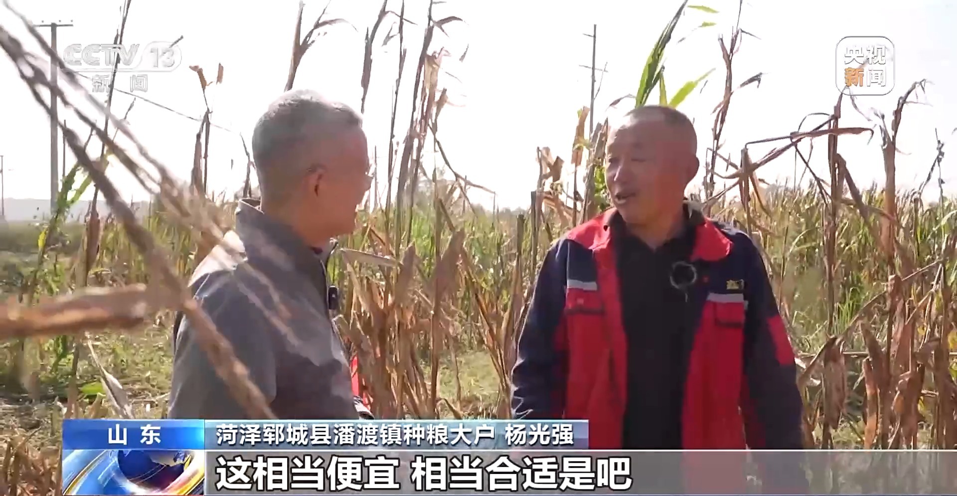 
杭州市人民医院黄牛代挂号电话票贩子号贩子网上预约挂号,住院检查加快,遭遇连阴雨如何保收？总台记者直击秋粮抢收一线