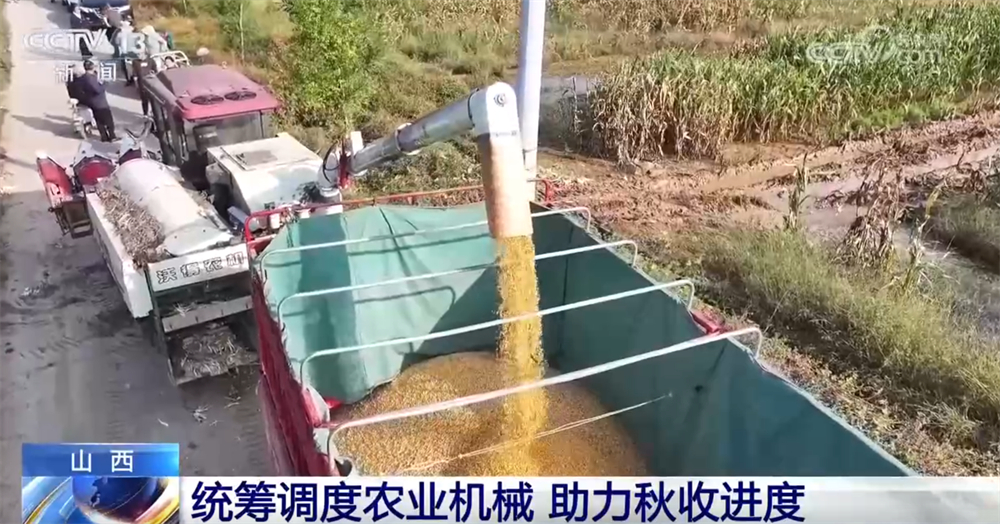
广州中医药大学一附医院黄牛代挂号电话票贩子号贩子网上预约挂号,住院检查加快,多地“攥指成拳”打响秋收“攻坚战” 排涝、抢收、抢烘有序开展