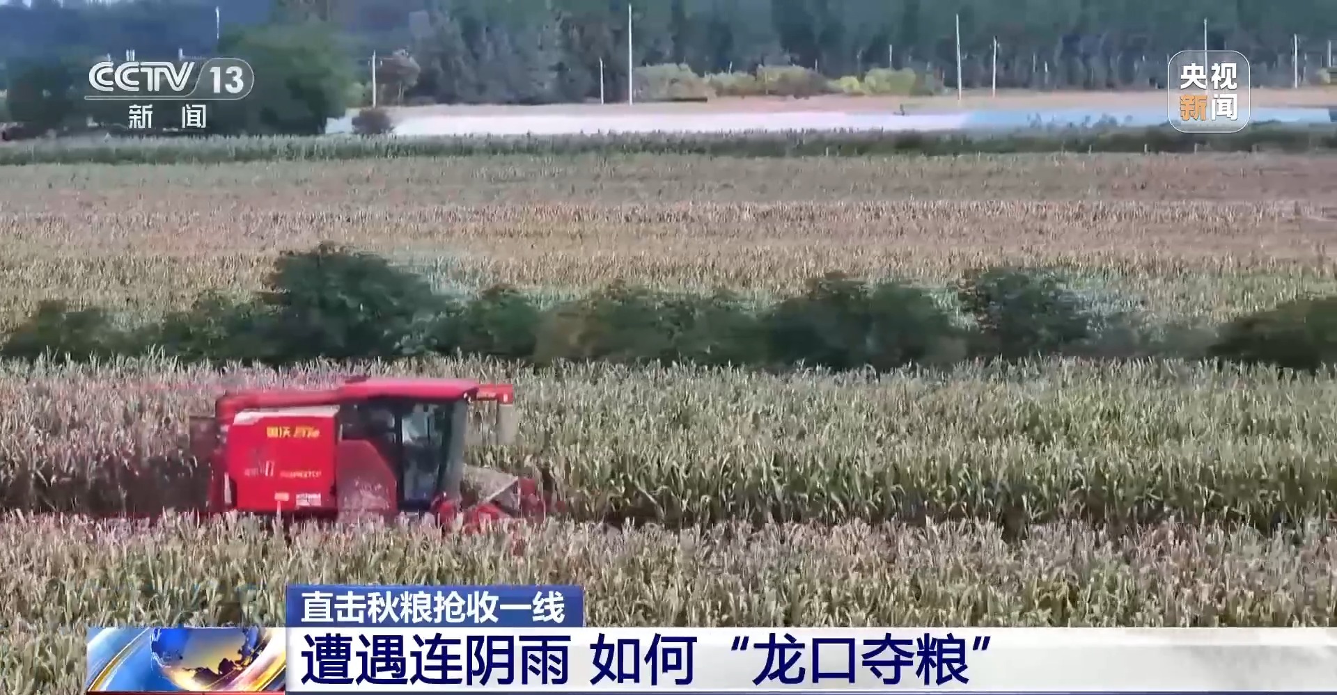 
杭州市人民医院黄牛代挂号电话票贩子号贩子网上预约挂号,住院检查加快,遭遇连阴雨如何保收？总台记者直击秋粮抢收一线