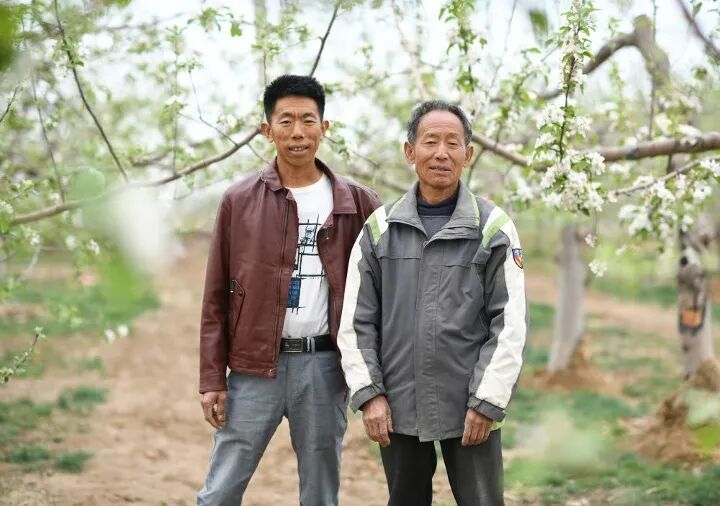 
南京脑科医院黄牛代挂号电话票贩子号贩子网上预约挂号,住院检查加快,这里是延安！