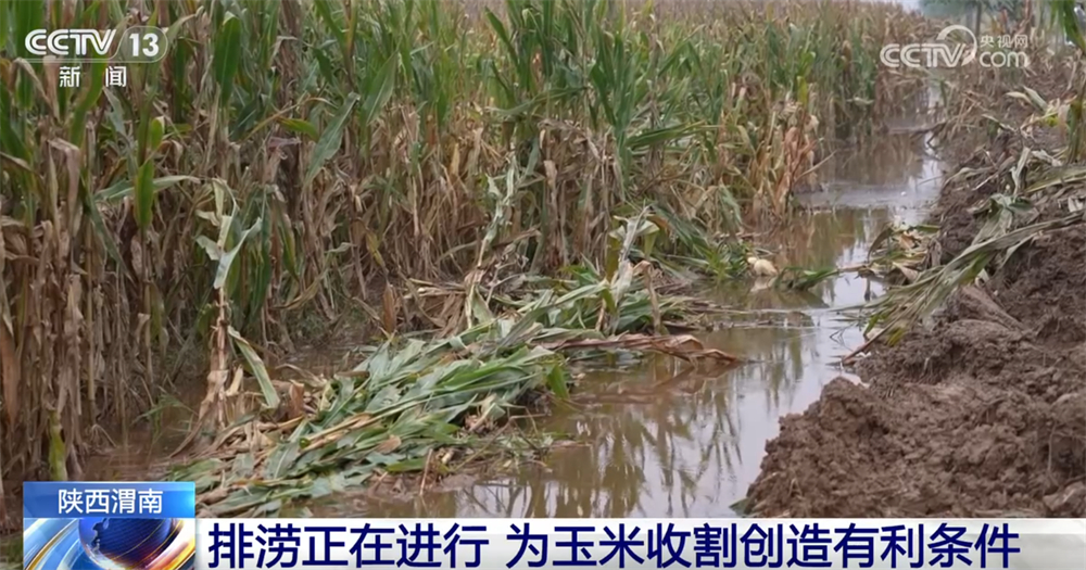 
广州中医药大学一附医院黄牛代挂号电话票贩子号贩子网上预约挂号,住院检查加快,多地“攥指成拳”打响秋收“攻坚战” 排涝、抢收、抢烘有序开展