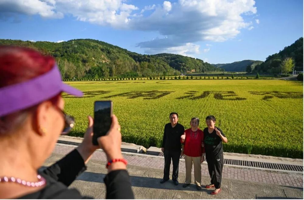
南京脑科医院黄牛代挂号电话票贩子号贩子网上预约挂号,住院检查加快,这里是延安！