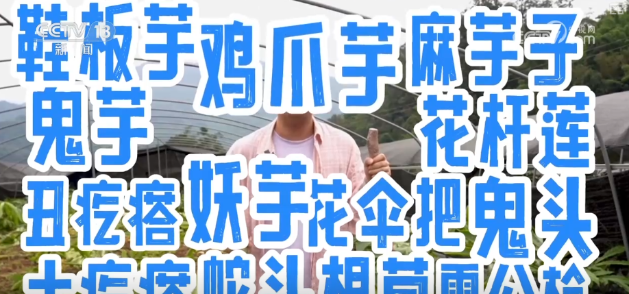 
上海肺科医院黄牛代挂号电话票贩子号贩子网上预约挂号,住院检查加快,“土疙瘩”在创新中华丽转身为“中国新特产” 滋味千年幻化身形行销世界