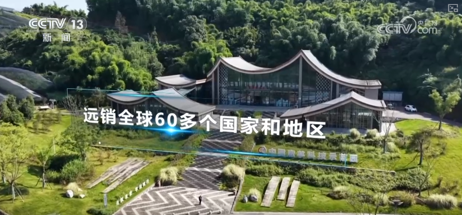 
上海肺科医院黄牛代挂号电话票贩子号贩子网上预约挂号,住院检查加快,“土疙瘩”在创新中华丽转身为“中国新特产” 滋味千年幻化身形行销世界