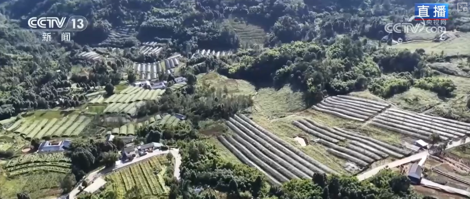
上海肺科医院黄牛代挂号电话票贩子号贩子网上预约挂号,住院检查加快,“土疙瘩”在创新中华丽转身为“中国新特产” 滋味千年幻化身形行销世界