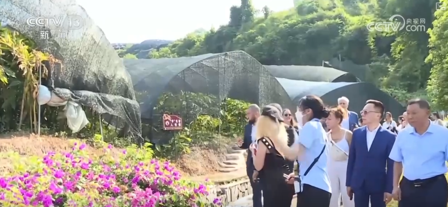 
上海肺科医院黄牛代挂号电话票贩子号贩子网上预约挂号,住院检查加快,“土疙瘩”在创新中华丽转身为“中国新特产” 滋味千年幻化身形行销世界