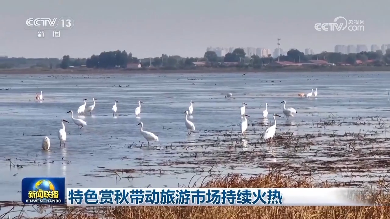 
东部战区总医院黄牛代挂号电话票贩子号贩子网上预约挂号,住院检查加快,特色赏秋带动旅游市场持续火热