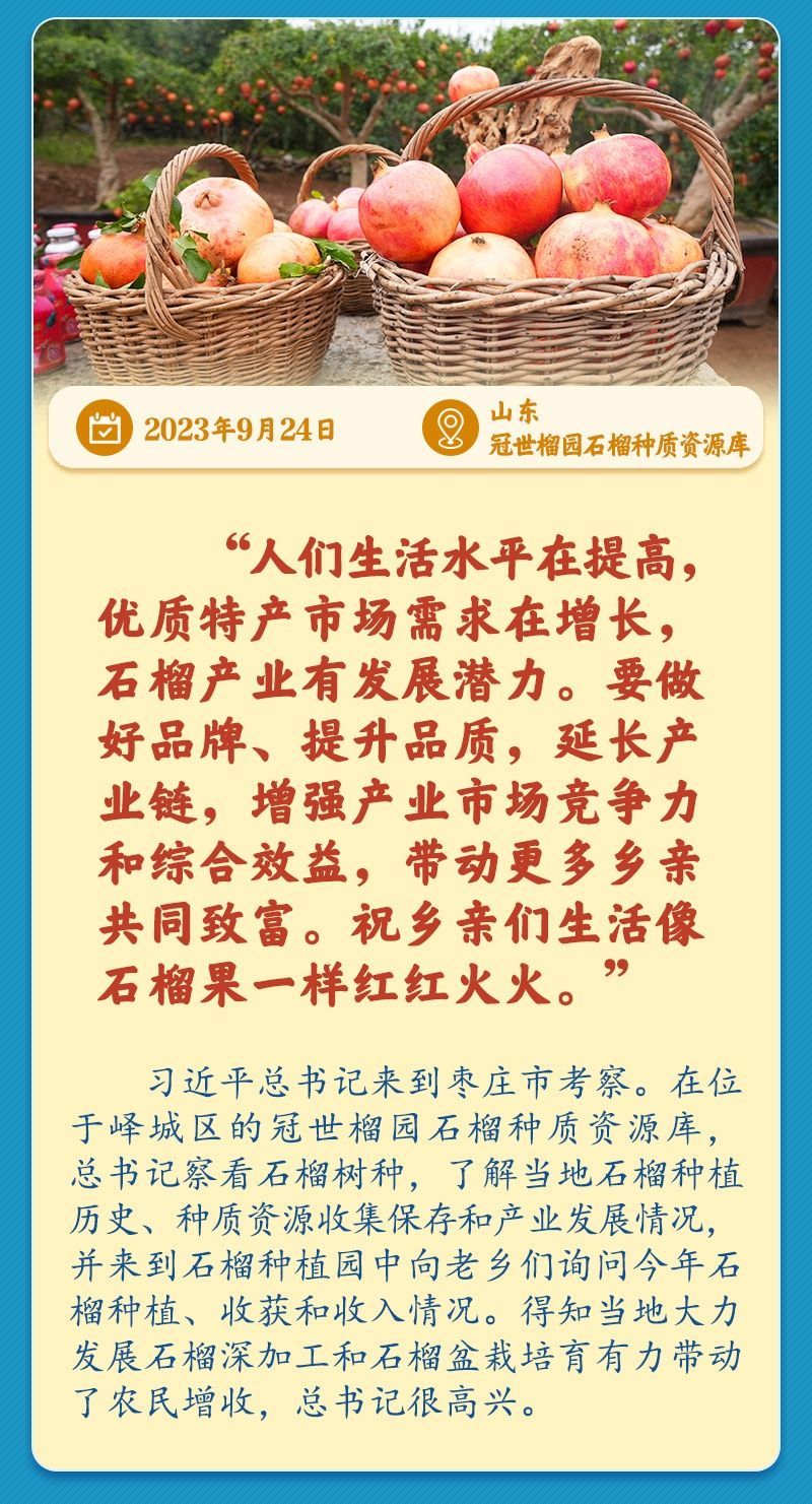 
浙江省同德医院黄牛代挂号电话票贩子号贩子网上预约挂号,住院检查加快,学习新语｜总书记引领推动乡村振兴迈出坚实步伐