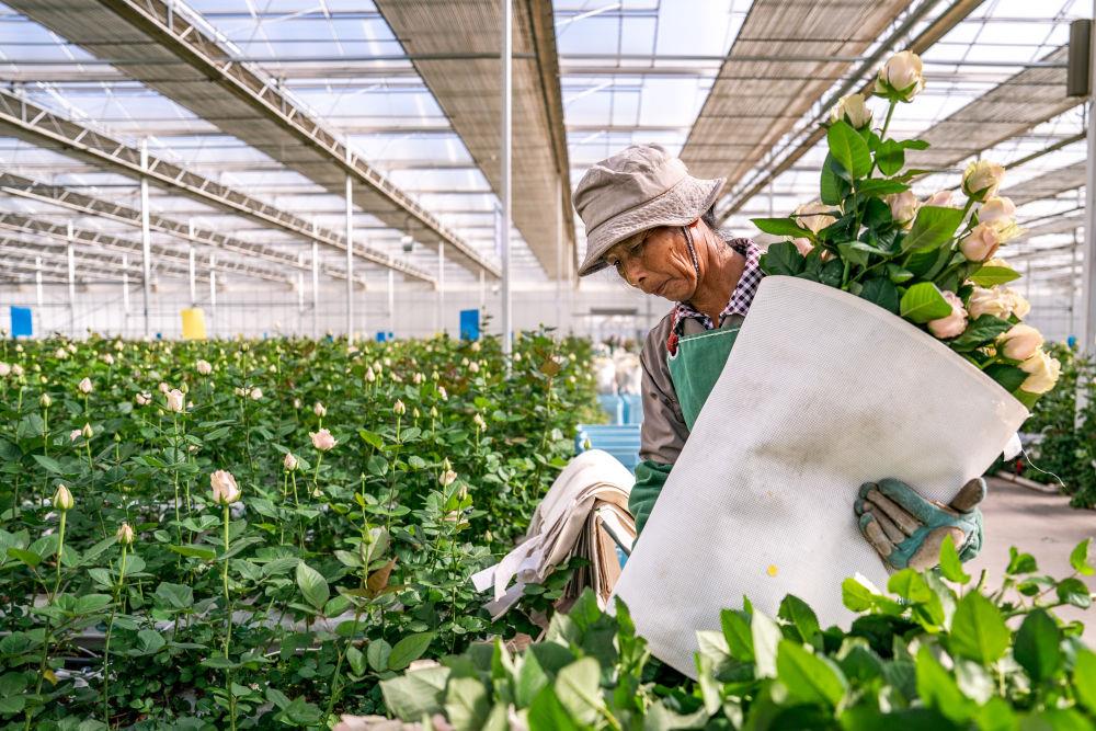 
湖南中医附一医院黄牛代挂号电话票贩子号贩子网上预约挂号,住院检查加快,时政微观察丨非凡“十四五”，民生答卷有厚度更有温度