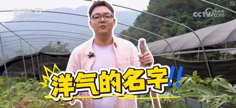 
上海肺科医院黄牛代挂号电话票贩子号贩子网上预约挂号,住院检查加快,“土疙瘩”在创新中华丽转身为“中国新特产” 滋味千年幻化身形行销世界