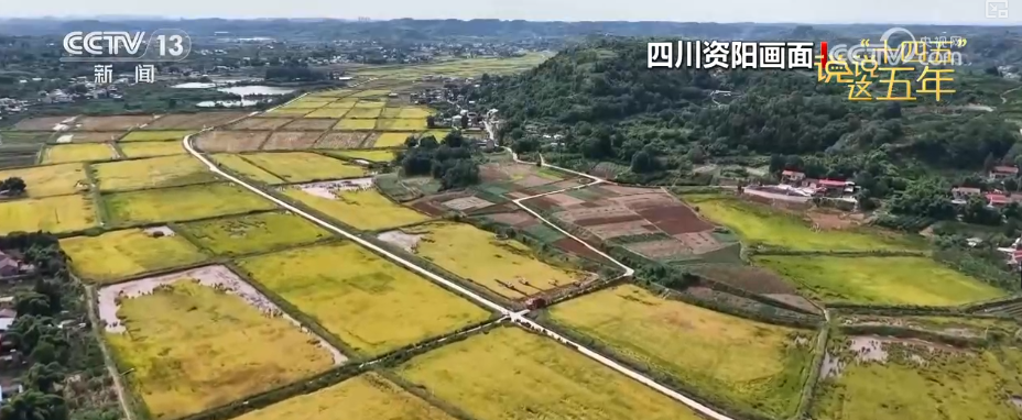 
天津血液研究所黄牛代挂号电话票贩子号贩子网上预约挂号,住院检查加快,听！380秒百姓畅聊“十四五”这五年新变化……