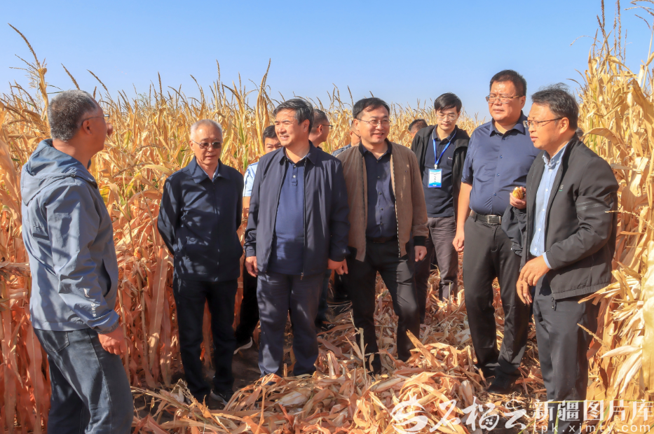 
江苏省人民医院黄牛代挂号电话票贩子号贩子网上预约挂号,住院检查加快,从“白色荒漠”到“金色粮仓” 新疆重度盐碱耕地实现亩产“吨粮”