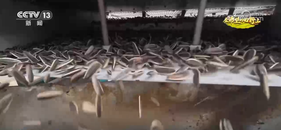
北京各大医院黄牛代挂号电话票贩子号贩子网上预约挂号,住院检查加快,瓜果飘香、鱼蟹满舱，希望的田野处处是“丰”景！