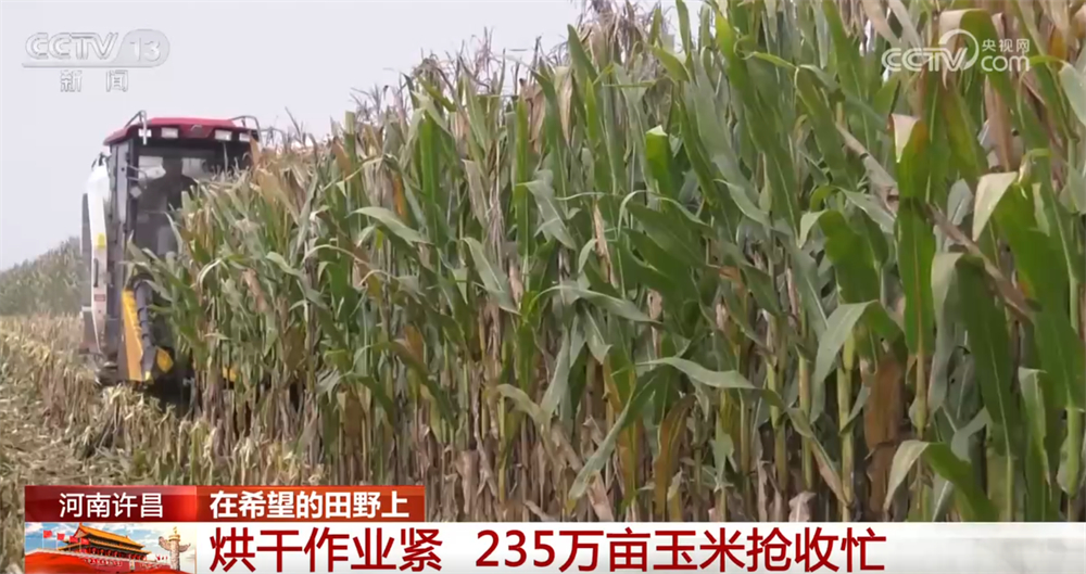 
北大第一医院黄牛代挂号电话票贩子号贩子网上预约挂号,住院检查加快,良机良技良法护航秋日“丰”景 “科技+”为乡村产业振兴注入鲜活动能