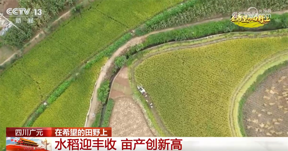 
北大第一医院黄牛代挂号电话票贩子号贩子网上预约挂号,住院检查加快,良机良技良法护航秋日“丰”景 “科技+”为乡村产业振兴注入鲜活动能