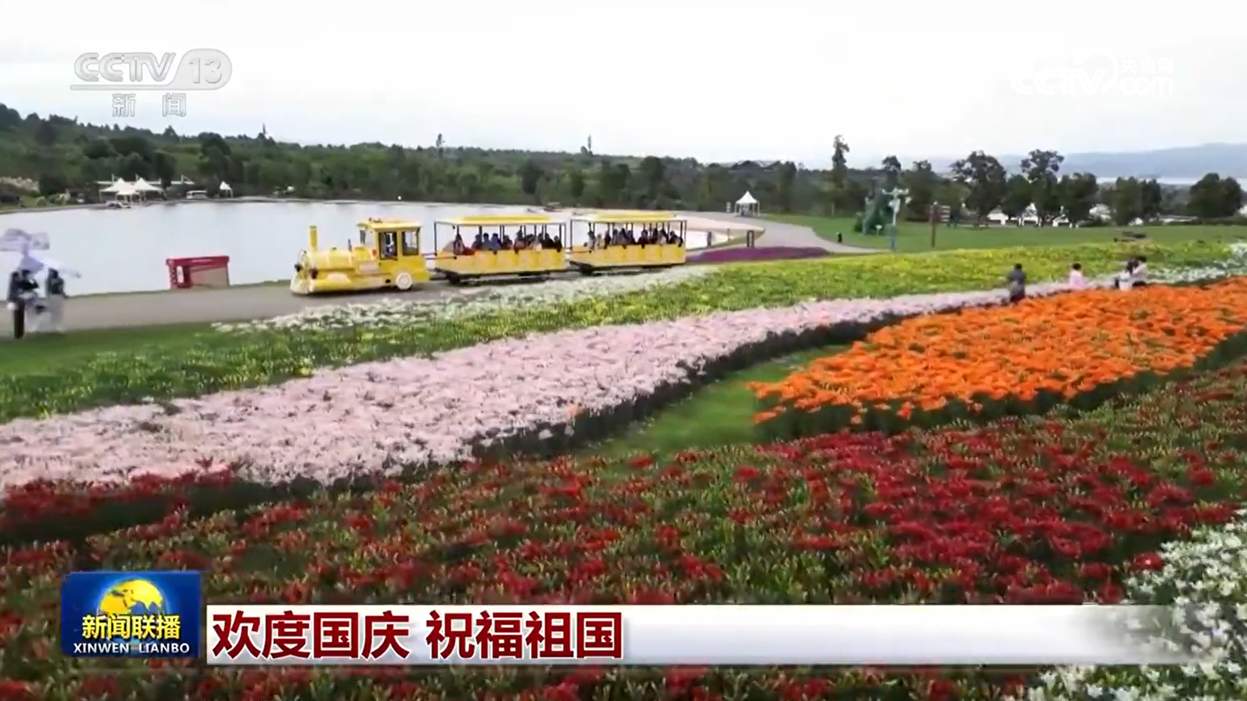 
上海中山医院黄牛代挂号电话票贩子号贩子网上预约挂号,住院检查加快,欢度国庆 祝福祖国