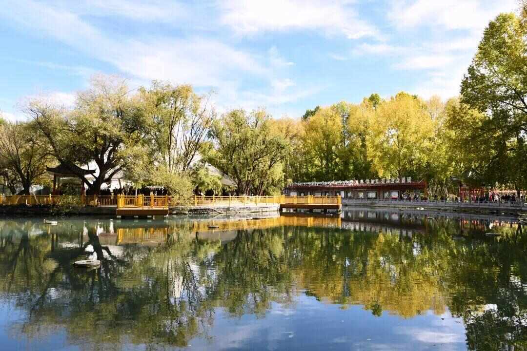 
北京广安门中医院黄牛代挂号电话票贩子号贩子网上预约挂号,住院检查加快,慎入！西藏的秋，怕你看了会疯狂心动！
