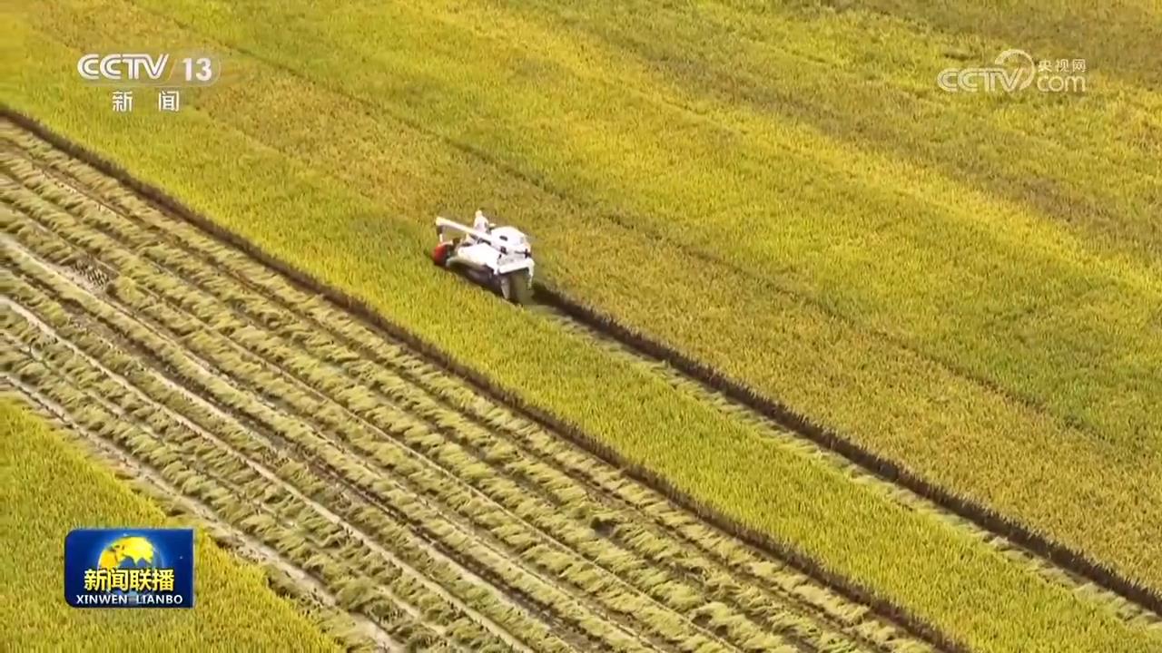 
中山大学肿瘤医院黄牛代挂号电话票贩子号贩子网上预约挂号,住院检查加快,全国秋粮收获近七成