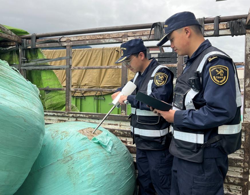 
长春吉大一院黄牛代挂号电话票贩子号贩子网上预约挂号,住院检查加快,西藏口岸进口青贮饲草千余吨 “千吨计划”促进高原生态保护和畜牧业发展“双赢”